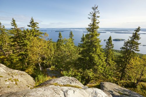 Matkailun tulevaisuus