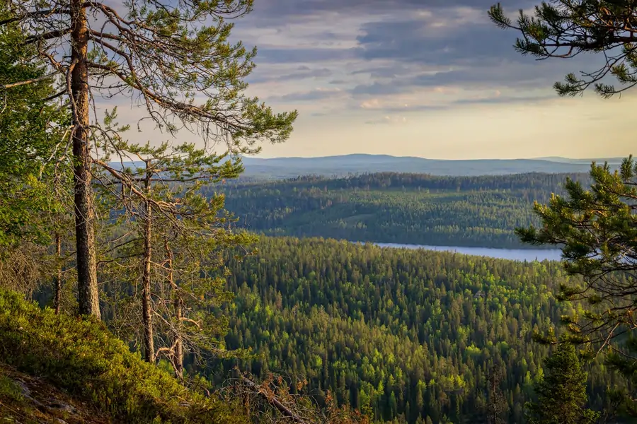 kansallispuistot